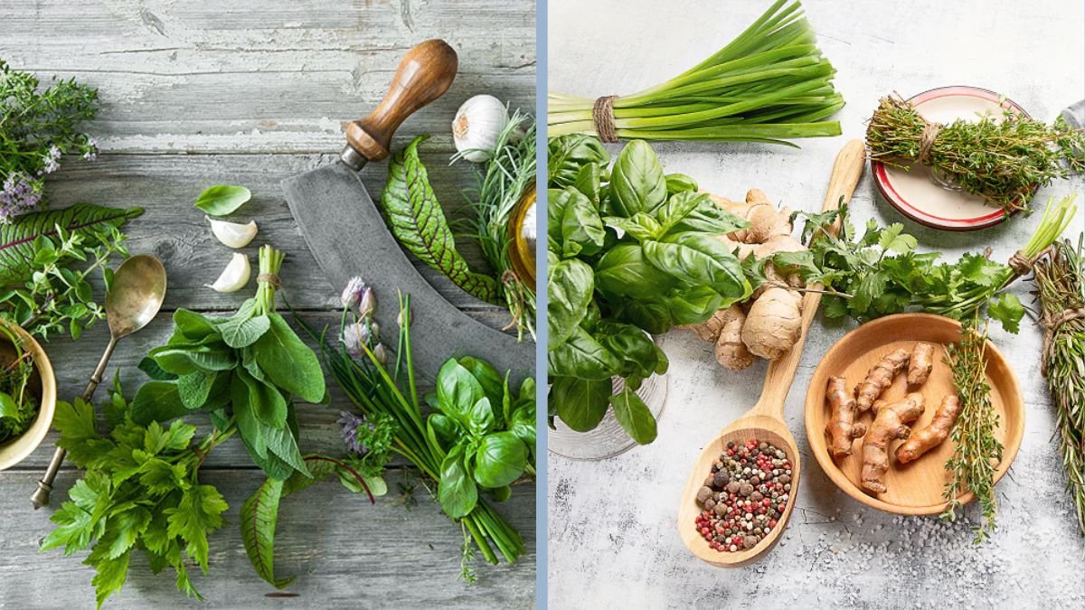 How to Cook With Fresh Herbs for Healthier Dishes