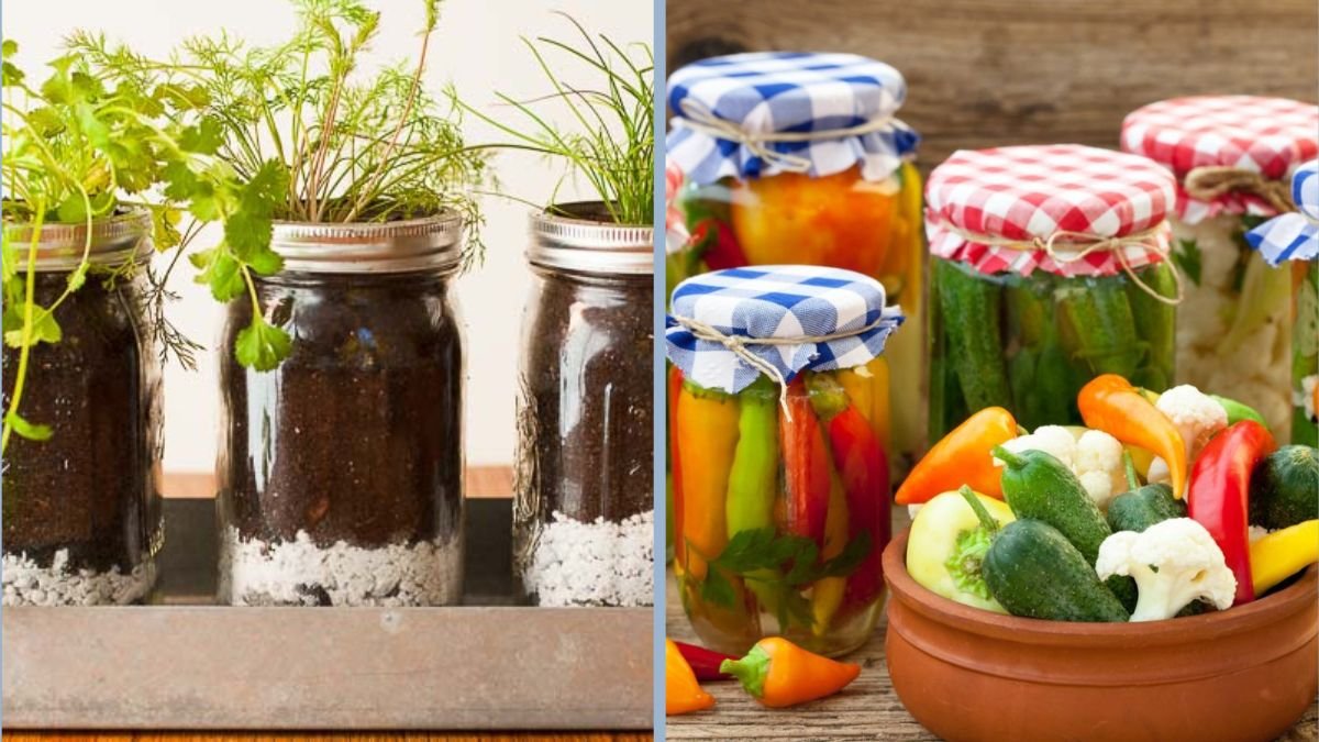 How to Grow Vegetables in Mason Jars