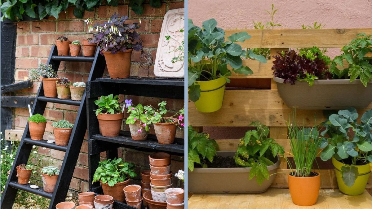 The Best DIY Vertical Gardens for Small Kitchens