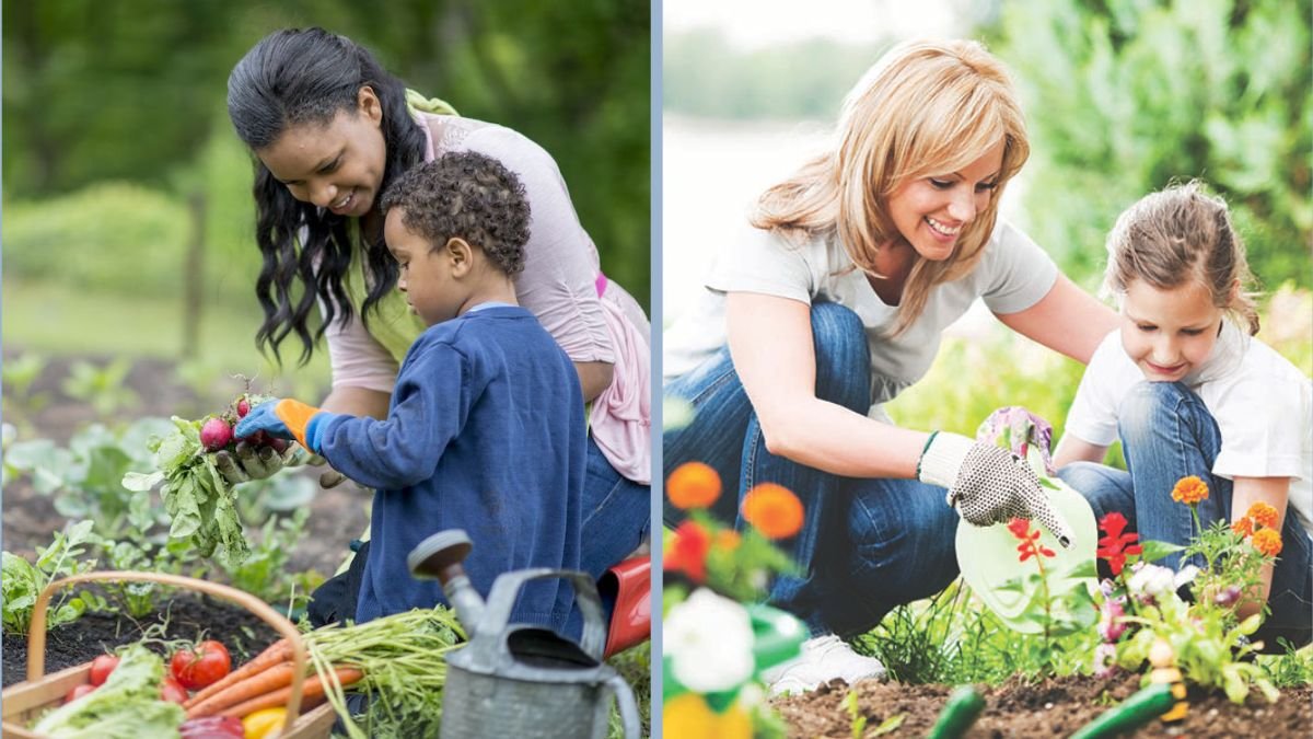 How to Create a Kid-Friendly Kitchen Garden