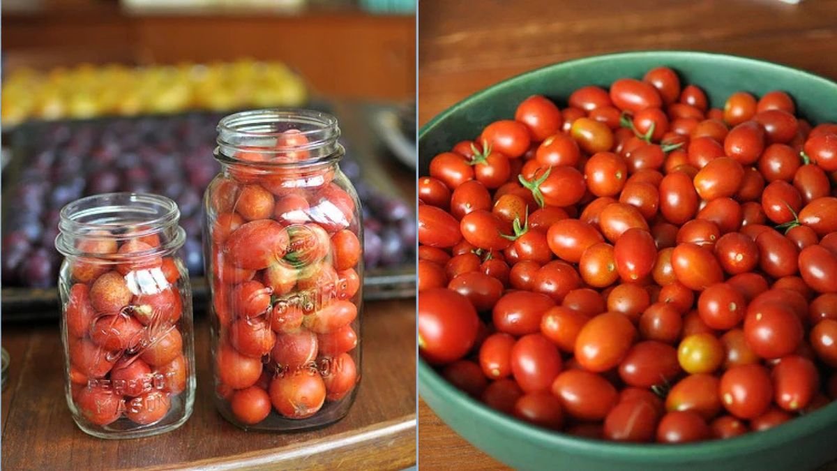 Tomatoes in Jars: Indoor Gardening Hack