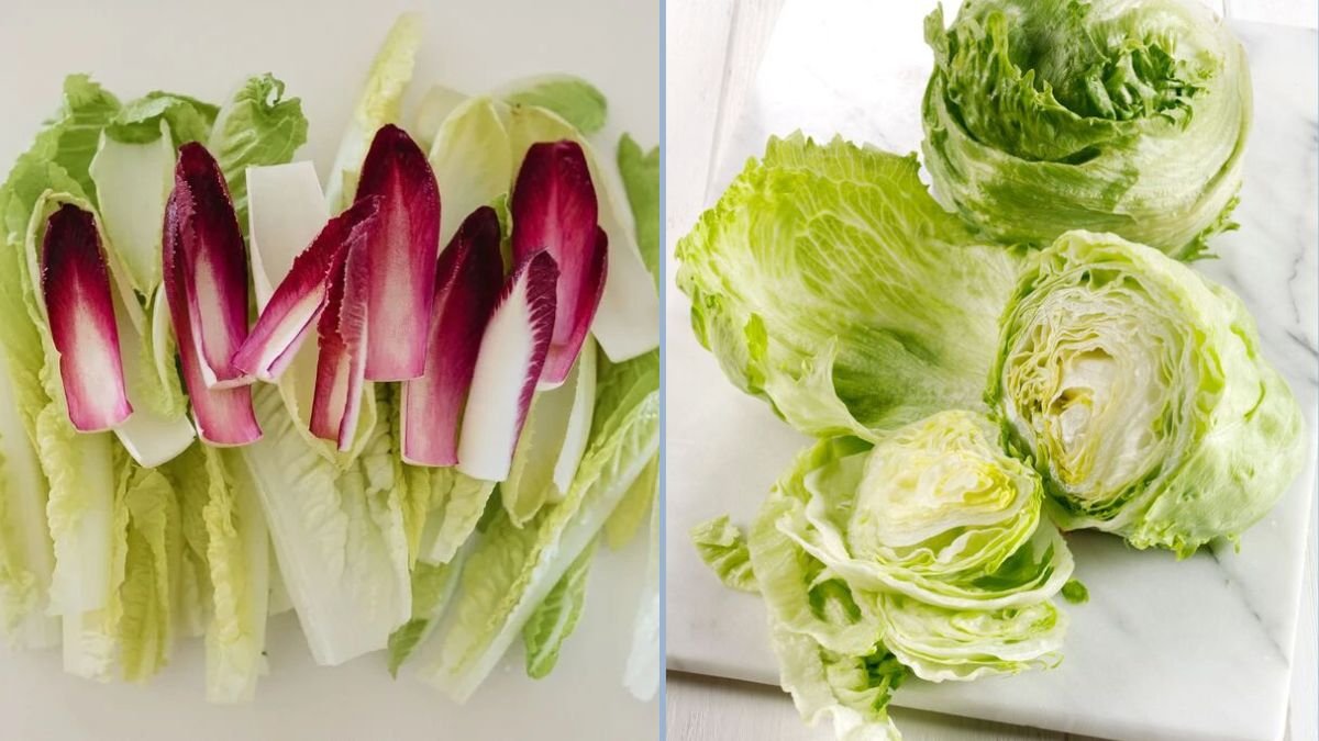 Easy Methods to Keep Lettuce Crisp Longer