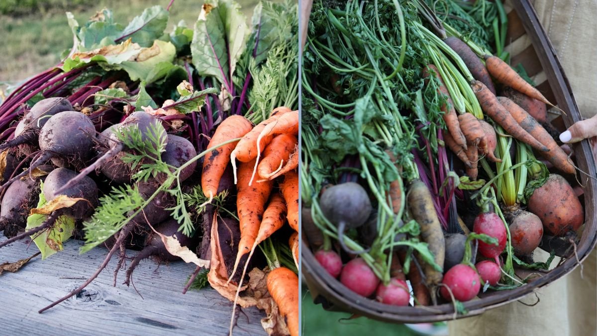 How to Store Root Vegetables Indoors
