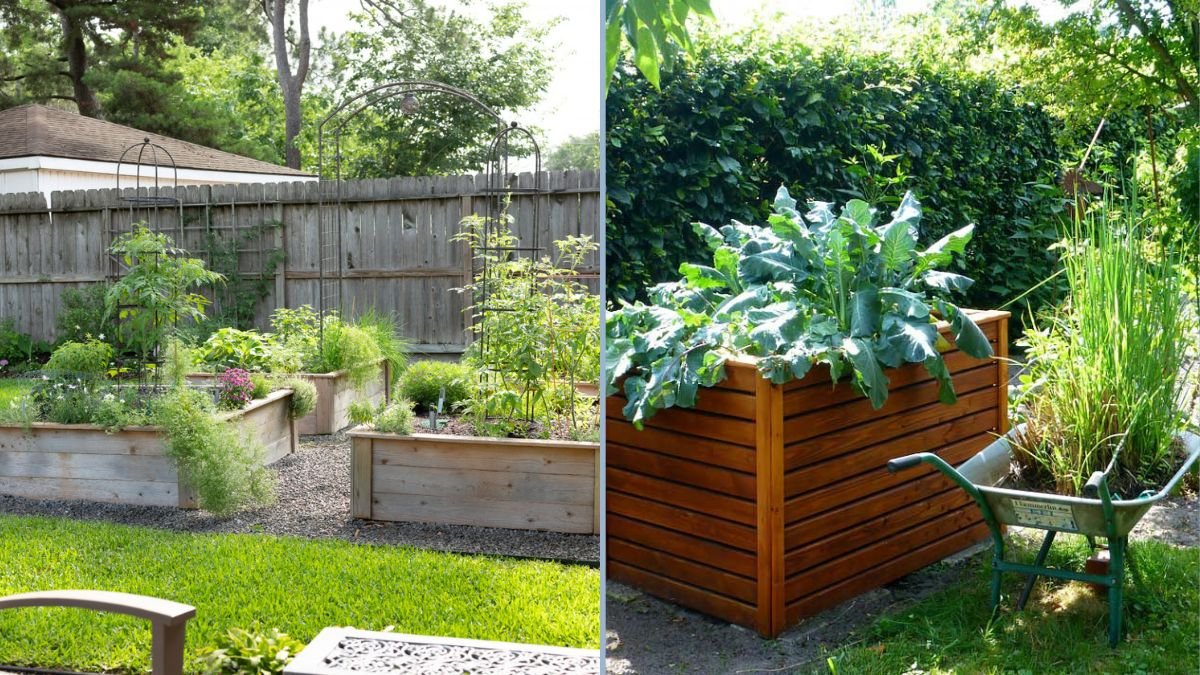 Building a Raised Vegetable Bed at Home