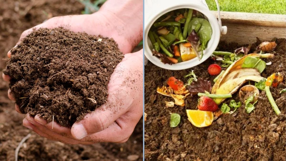 Composting Kitchen Scraps for Fertile Soil