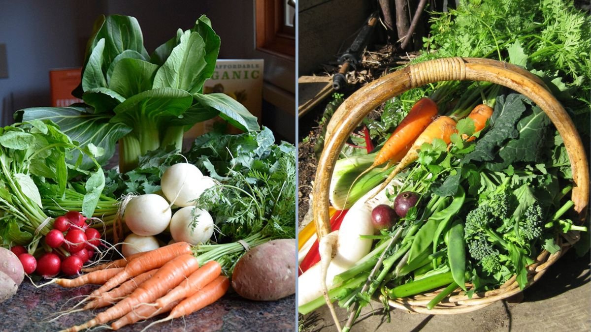 Vegetables That Survive Cold Winters