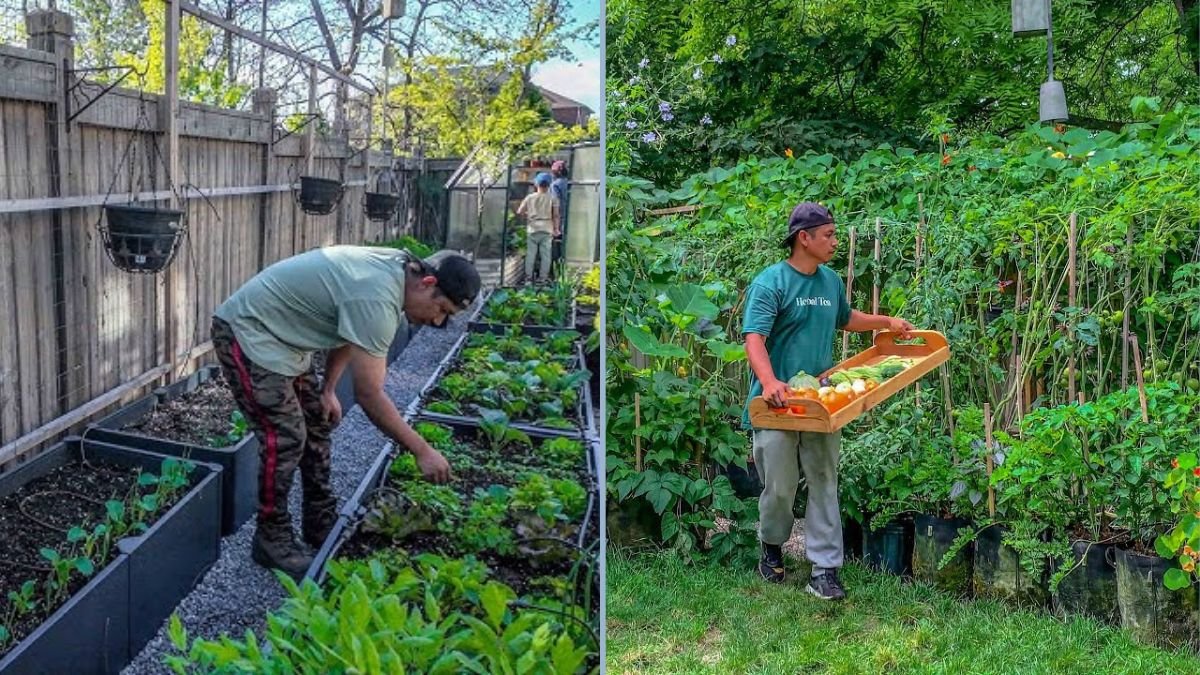 How We Grow Enough Food for Our Family with Just 2 Garden Beds: A Complete Guide