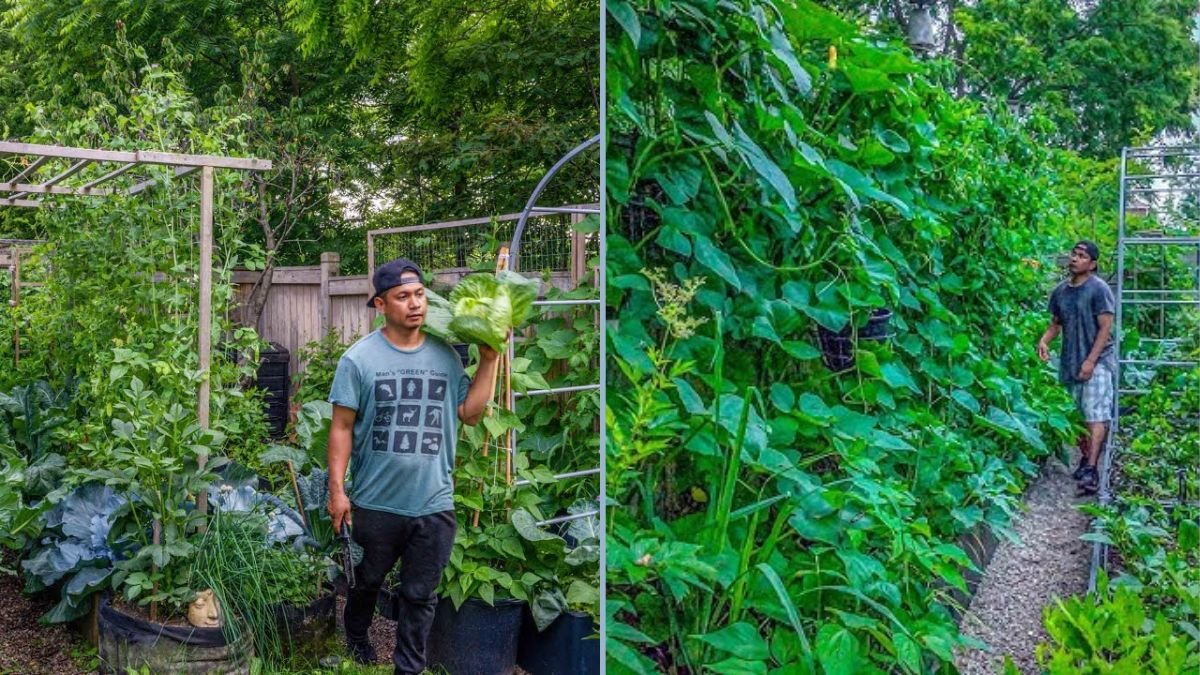 July 2025 Garden Tour: How We Grow 500+ Plants Naturally Without Chemicals