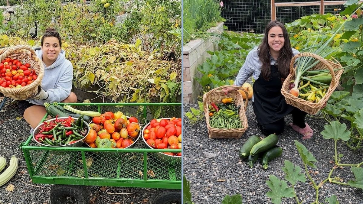 August Garden Tour 2025: Exploring a Lush Garden and Enjoying an Abundant Harvest